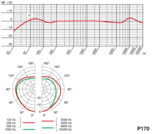 AKG P170